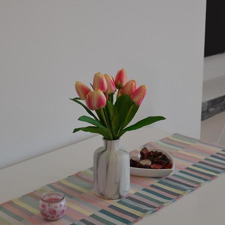 Apartments Korina ซริกเวนิซา ภายนอก รูปภาพ